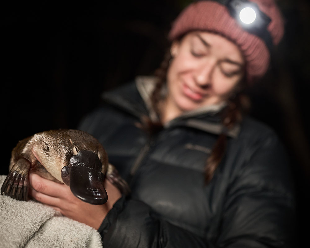 Tahneal Hawke in the field with Platypus 