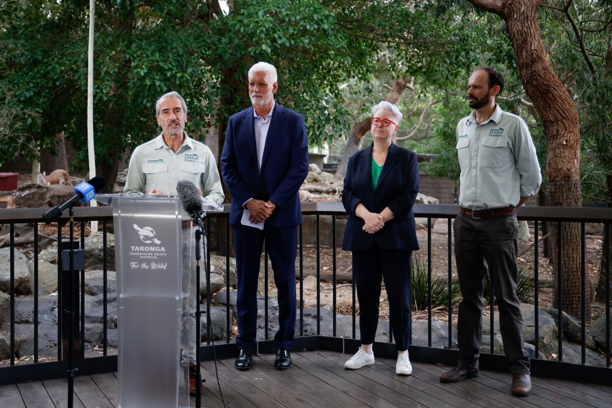 Taronga CEO Cameron Kerr