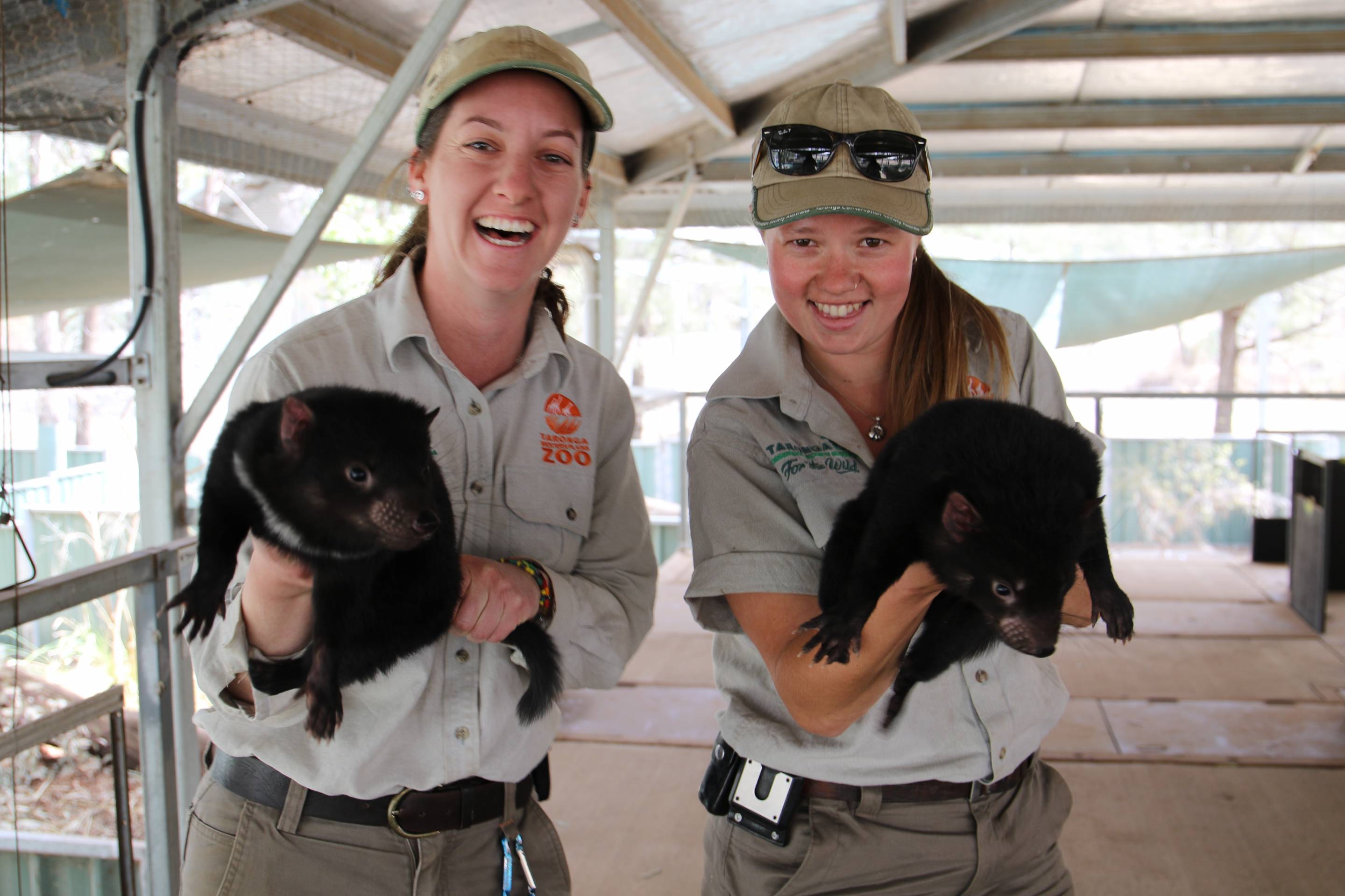 Keepers with two of the Tasmanian Devil joeys