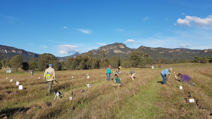 Taronga is supporting Birdlife Australia’s reforestation efforts which began in 1993