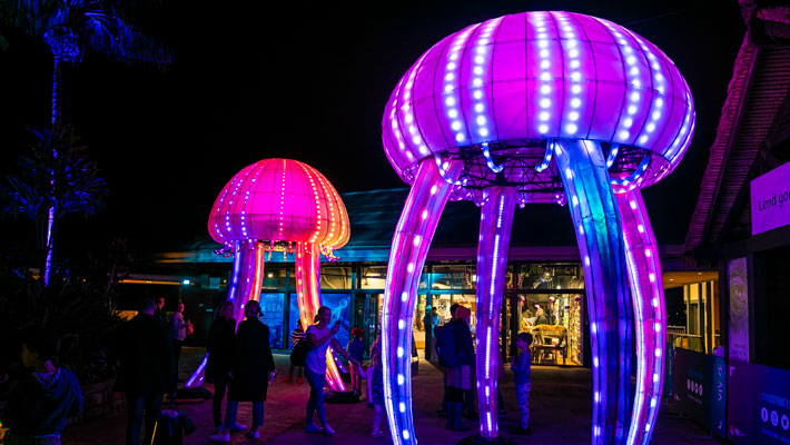 Jellyfish blooms light installation - Wild Lights at Taronga Zoo Sydney