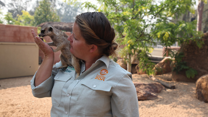 In this episode, we attend to a meerkat that has fallen out with her mob.