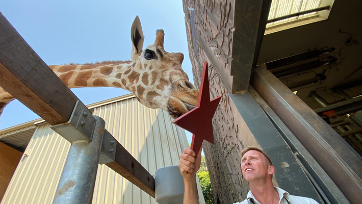 In this episode, we say goodbye Nyota the Giraffe, pictured with Keeper Jimmy.