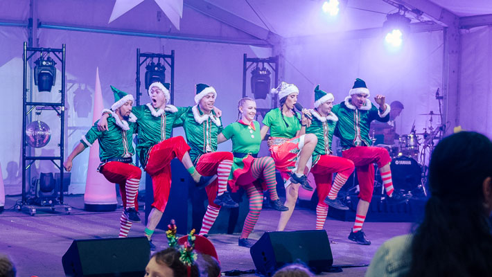 Christmas Concert at Taronga Zoo Sydney - performers on stage.