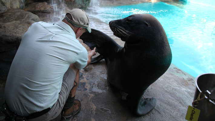 Watch how Charlie gets his health check.