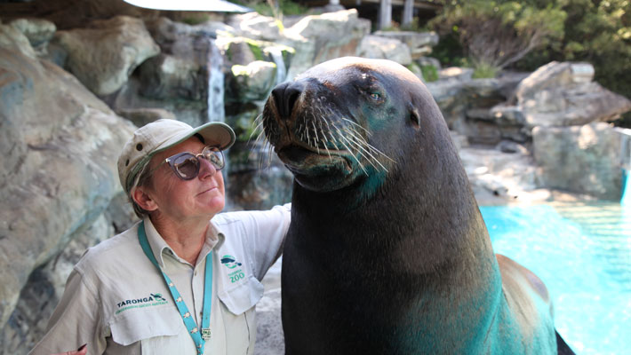 Charlie, the Australian Sea-Lion, posing for the photo.