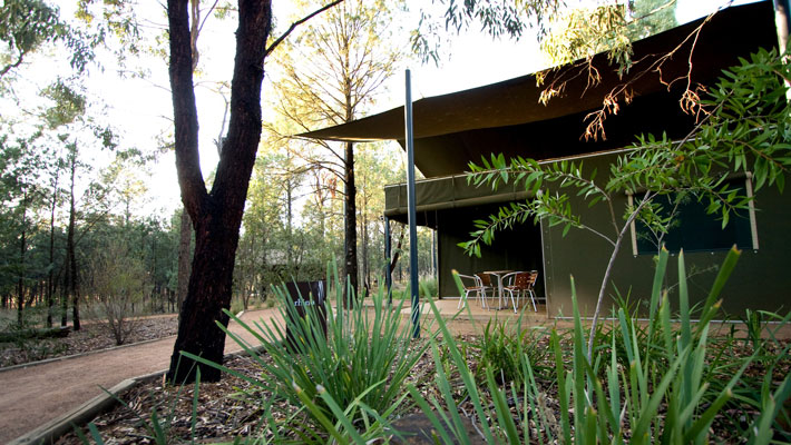 Exterior Bushland View Lodge, nestled in native bush