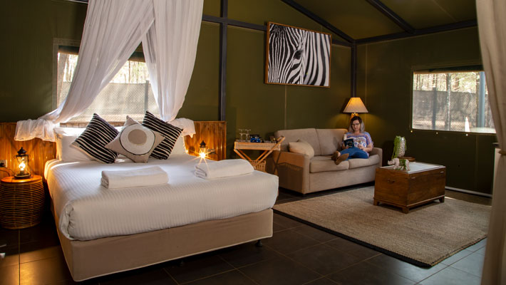 Bushland View lodges are nestled in native bush and can sleep up to six people