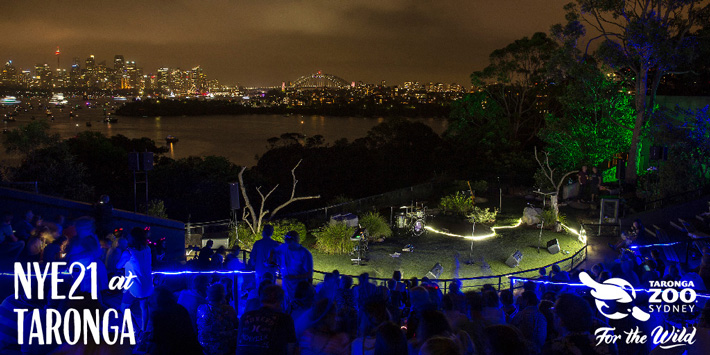 Gold reserve area at New Year's Eve - Taronga Zoo Sydney.