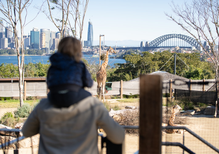 Enjoy two-day complimentary tickets of Taronga Zoo – with every Family Escape package.