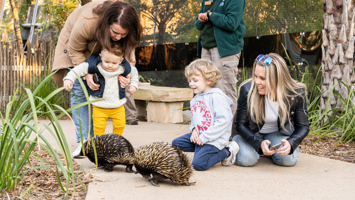 Guided tours through The Sanctuary, exclusive to Wildlife Retreat guests.