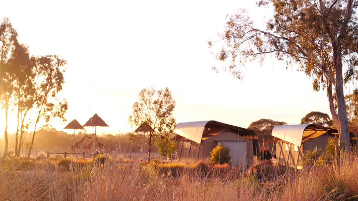 The sun comes up over the Animal View Lodges at Zoofari Lodge