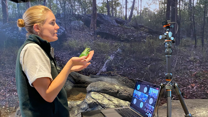 Education Officer, Jess Mountford, with a Green Tree Frog hosting a Virtual Zoo Lesson..