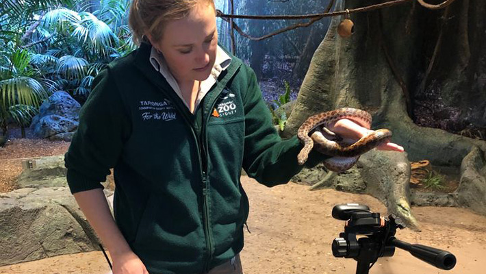 Virtual Zoo Lessons | Taronga Conservation Society Australia