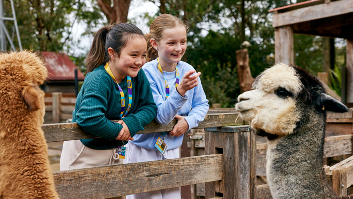 Kids enjoying lamas at Backyard to Bush