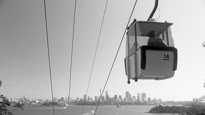 Sky Safari with Harbour View Background