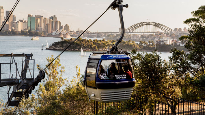 Sky Safari with Harbour View Background