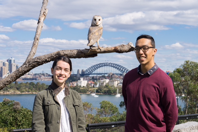 Owl experience at Taronga Zoo Sydney