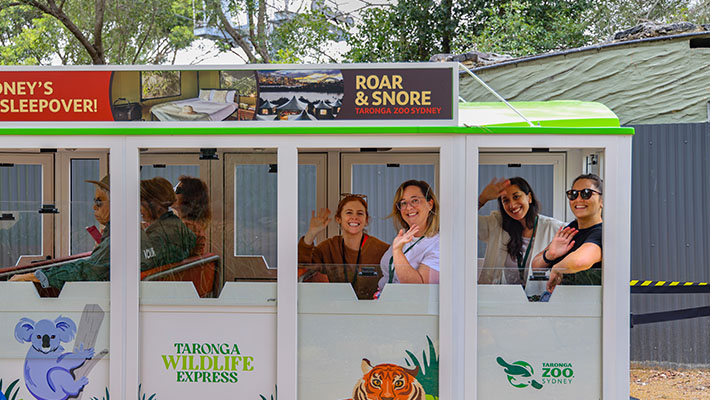 The Wildlife Express 