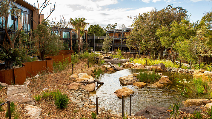 The Sanctuary within the Wildlife Retreat at Taronga.