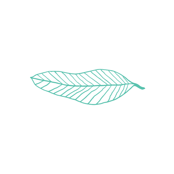 Angora Leaf
