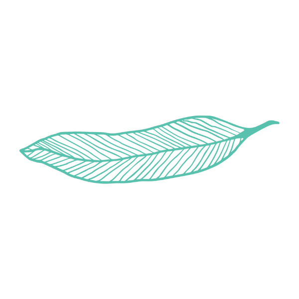 Angora leaf 1 icon