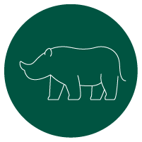 Rhino Symbol