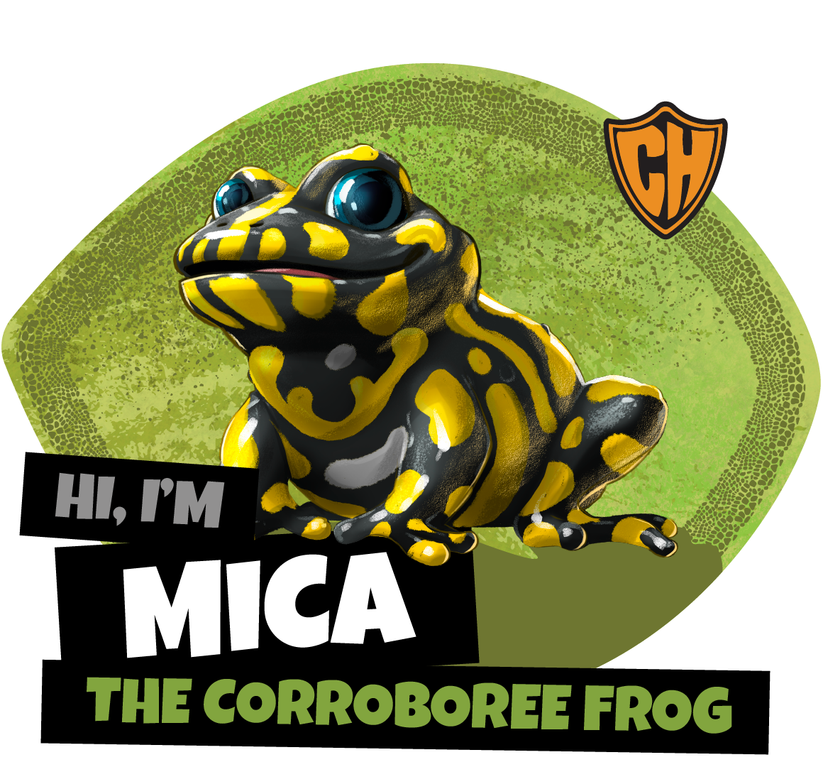 MICA THE CORROBOREE FROG 