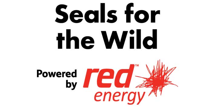 Seals for the Wild, powered by Red Energy