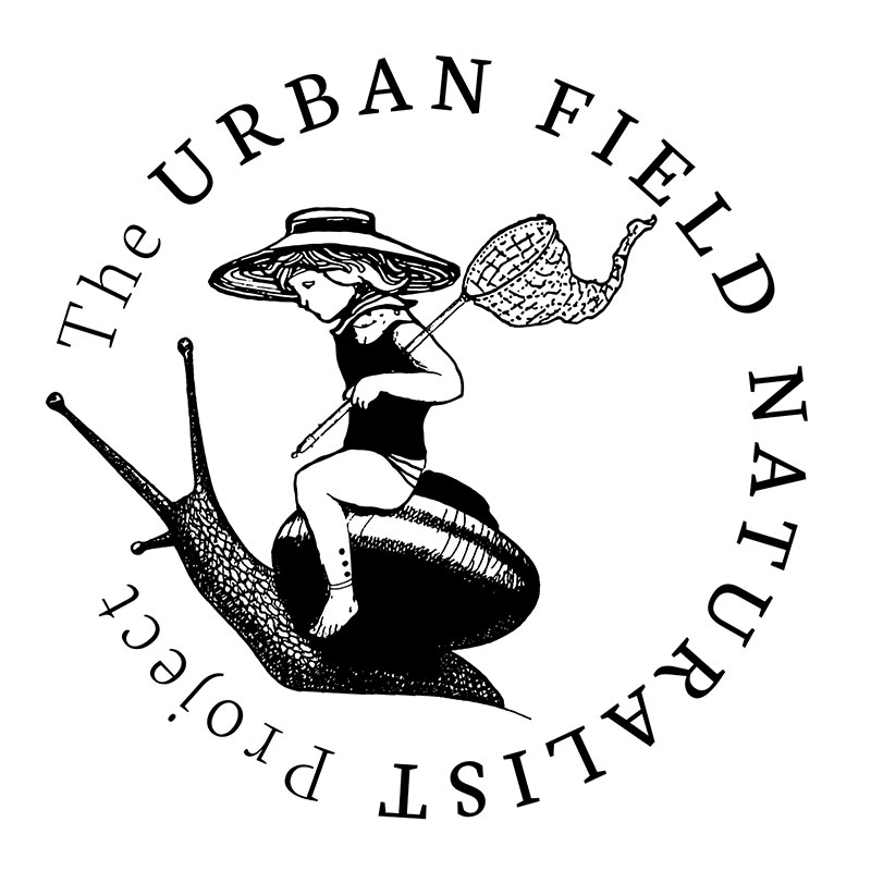 The Urban Field Naturalist Project