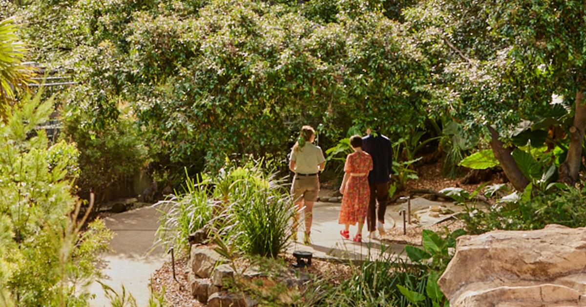 The Experience | Taronga Conservation Society Australia