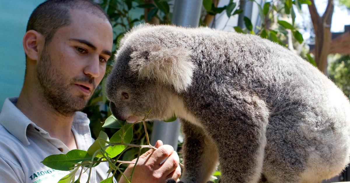 Certificate Courses | Taronga Conservation Society Australia