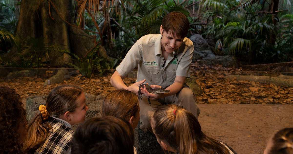 Sydney school excursions | Taronga Conservation Society Australia