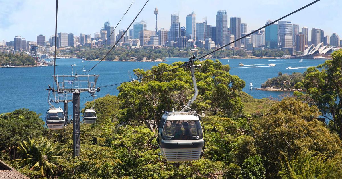 Sky Safari | Taronga Conservation Society Australia