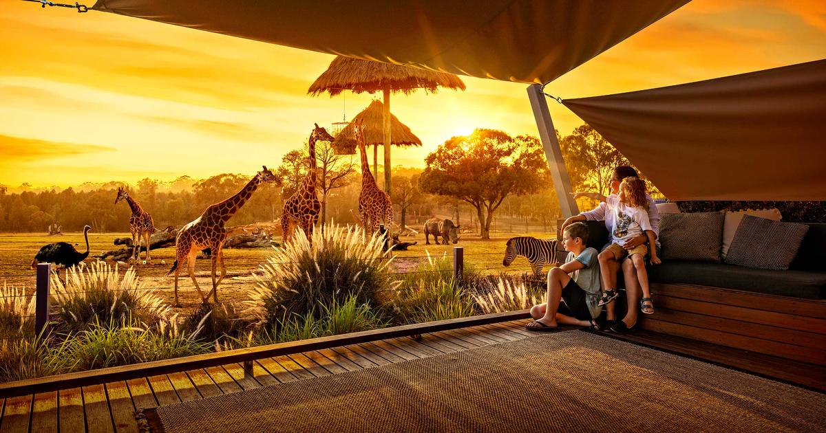 Overnight Accommodation | Taronga Western Plains Zoo Dubbo