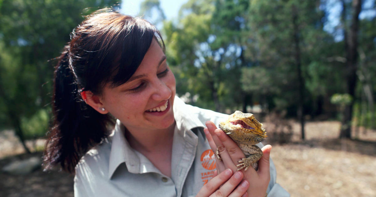 Careers Day | Taronga Conservation Society Australia