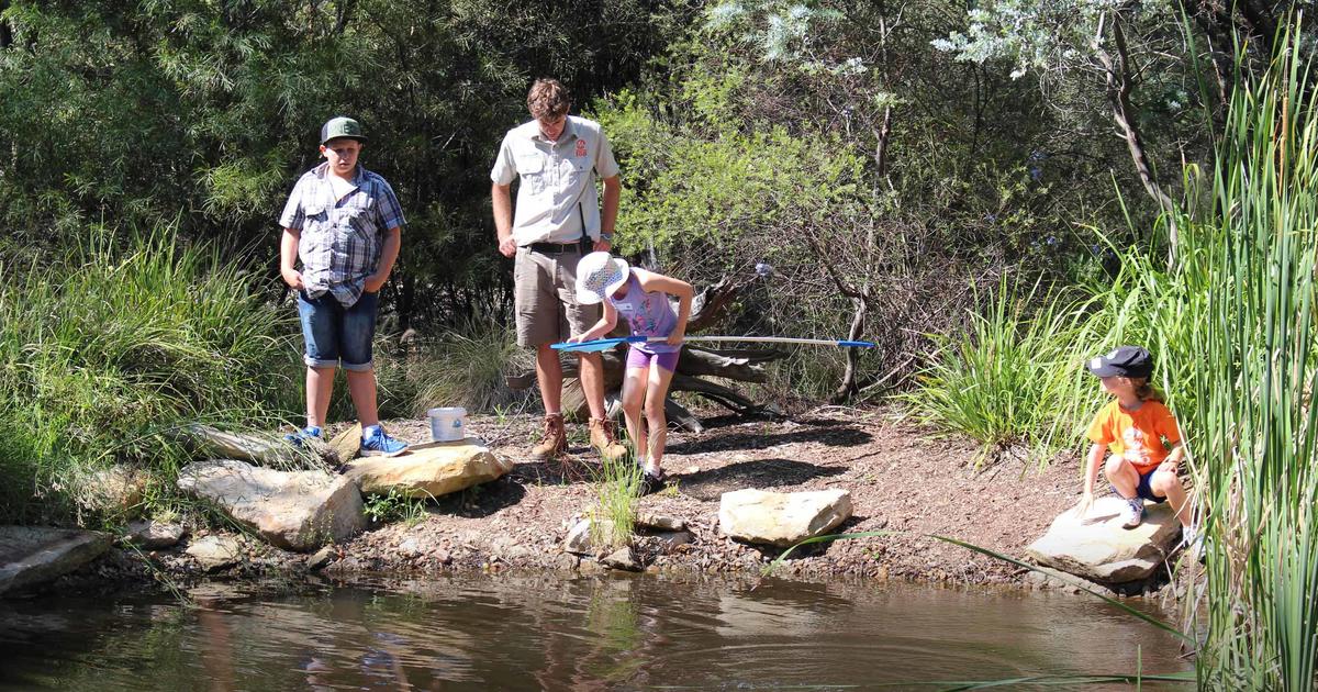 Zoo Adventures Dubbo 