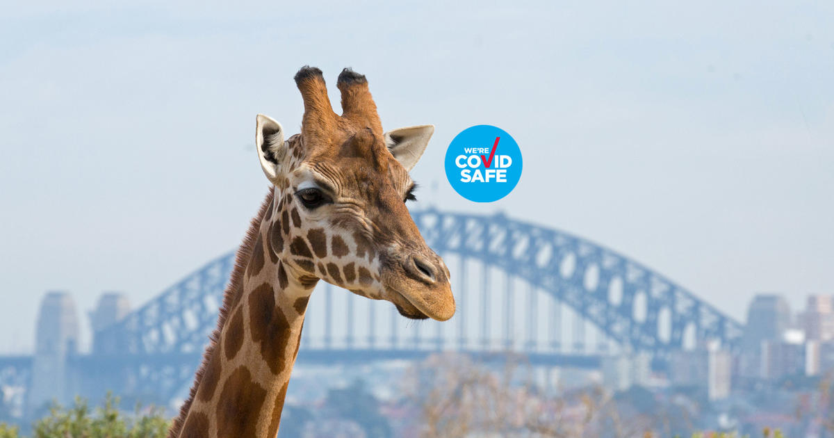 Taronga Zoo Sydney Taronga Conservation Society Australia