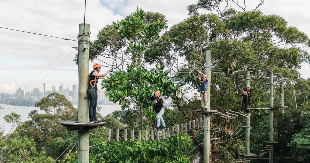 Wild Ropes | Taronga Conservation 