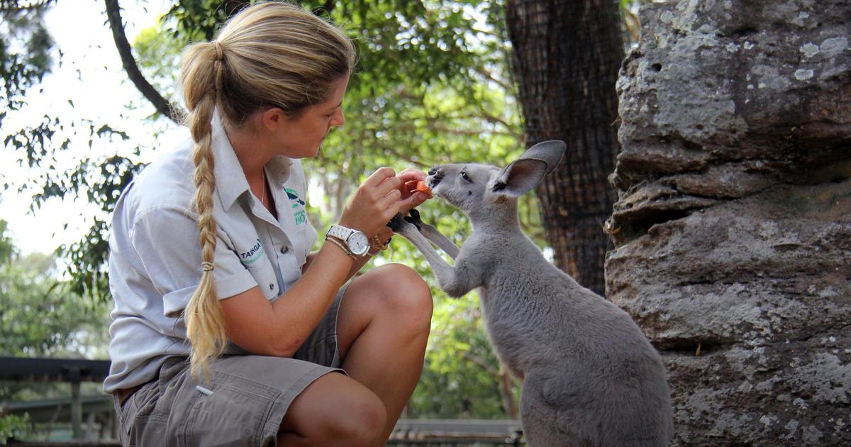 Wildlife and conservation jobs australia