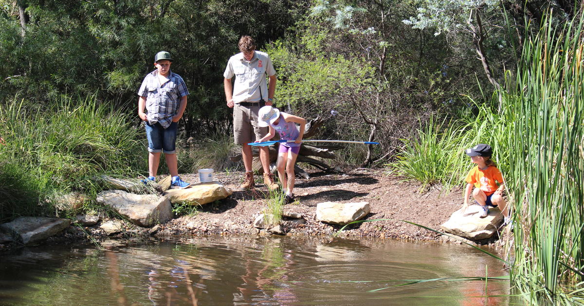 Zoo Adventures summer fun | Taronga Conservation Society Australia