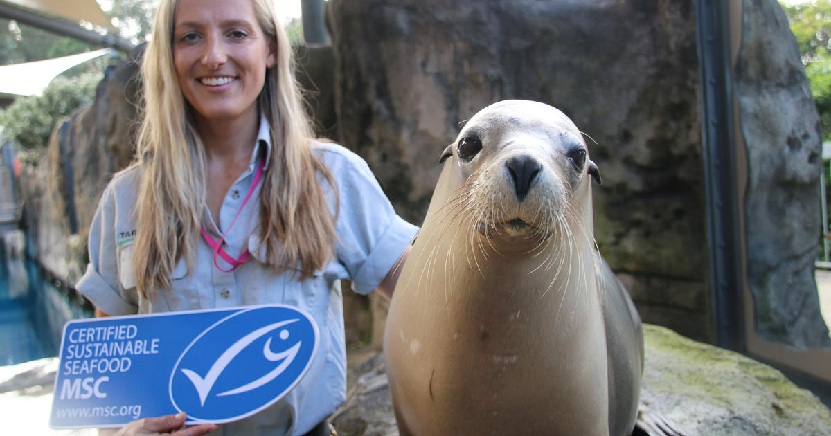 Taronga celebrates Sustainable Seafood Day | Taronga Conservation ...