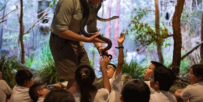 Stage 4: Living Systems