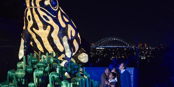 Taronga shines a light on threatened species during Vivid Sydney