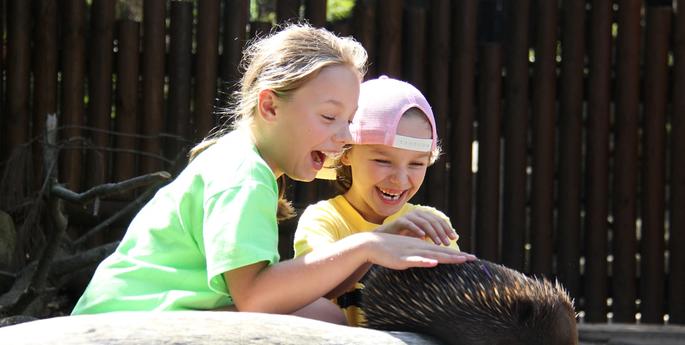 Baby boom at Sydney's Taronga Zoo