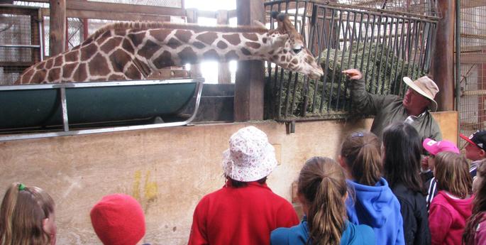 Zoo Adventures a hit these school holidays