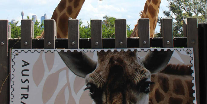Giraffe and Black Rhino get stamp of approval
