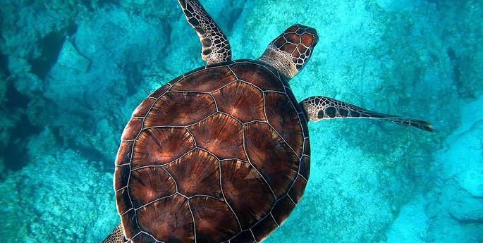 Plastic pollution: it all adds up