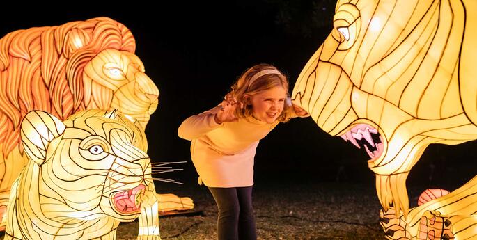 Ignite your WILD side