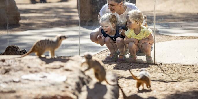 Dubbo Zoo announced best in NSW!
